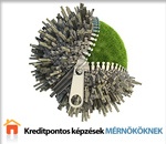 Kreditpontos