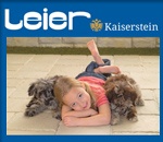 Leier