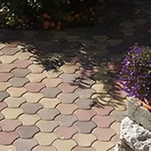 Barab�s t�rk�vek - FANNY t�rk�