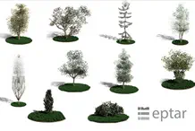 ptr - Plant Designer III.